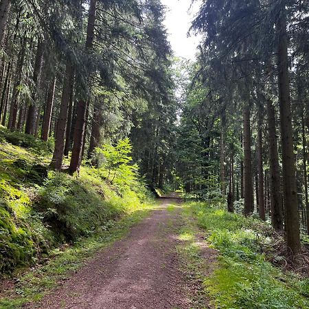 Gaestehaus Im Erzgebirge Zwoenitz Ngoại thất bức ảnh