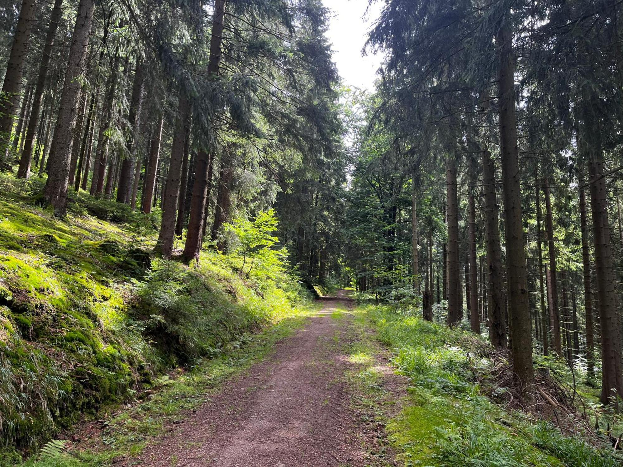 Gaestehaus Im Erzgebirge Zwoenitz Ngoại thất bức ảnh